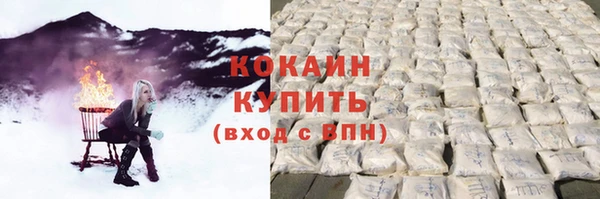 соль ск Алексин