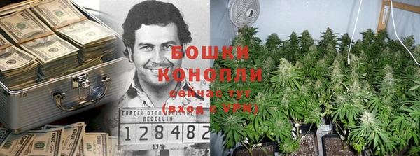 соль ск Алексин